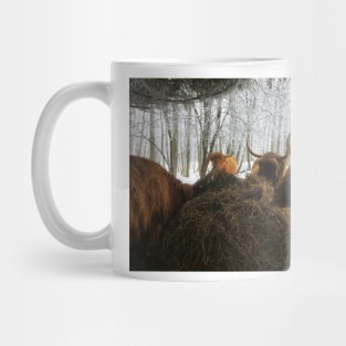 Scottish Highland Cattle Cows 1869 Mug